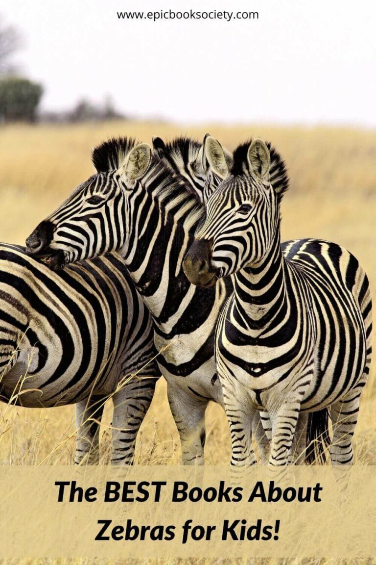 books about zebras
