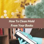 How to clean mold from books